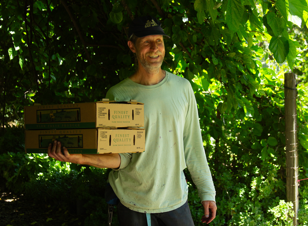 A Mulberry Farm Found on Craigslist