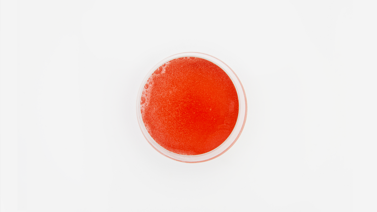 Seasonal Water Kefir