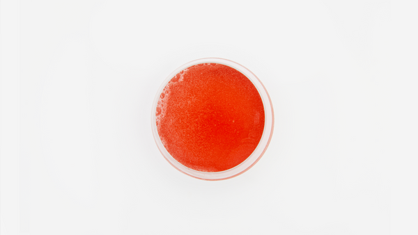 Seasonal Water Kefir