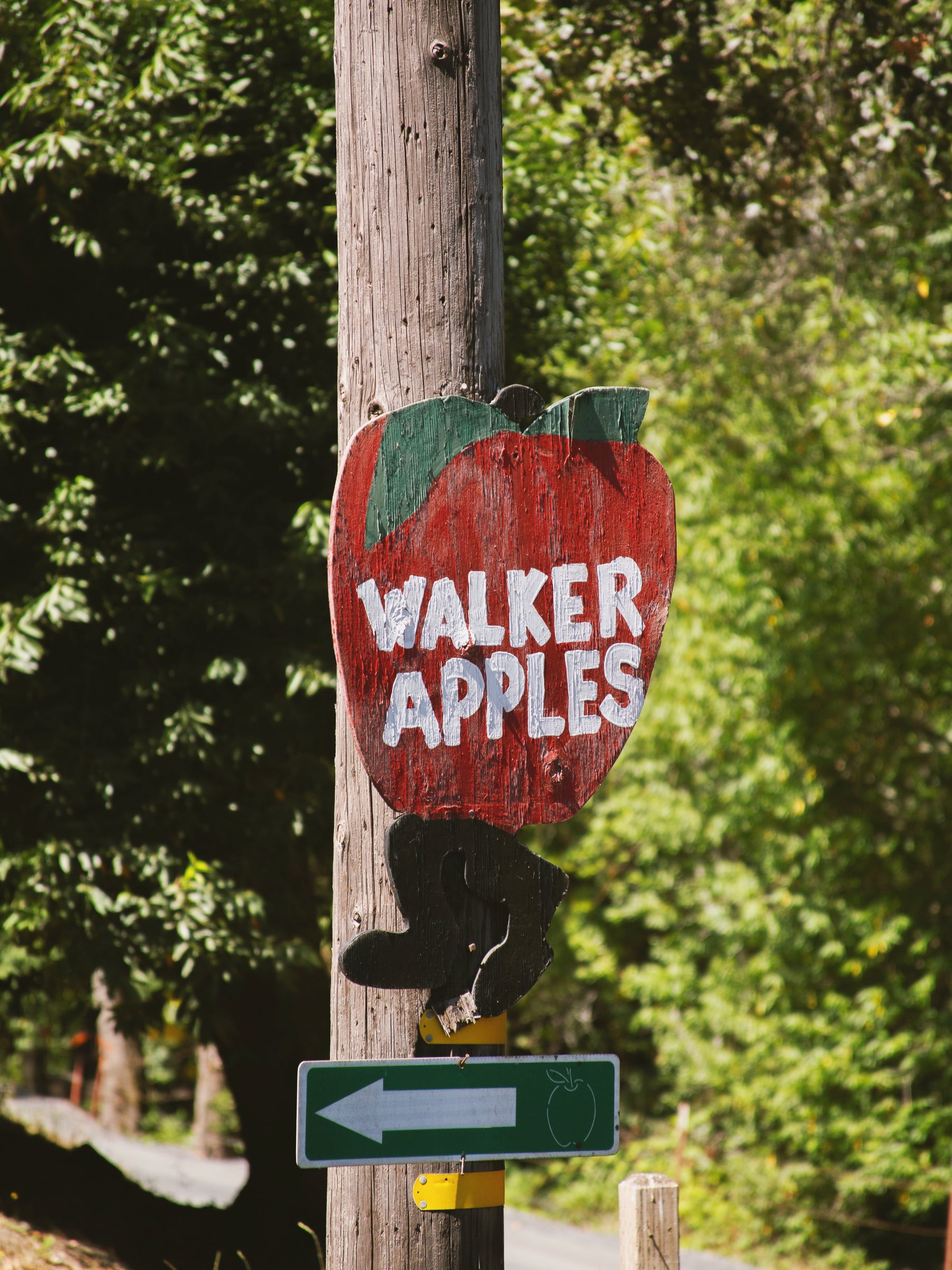Spiced Gravenstein Apple Butter