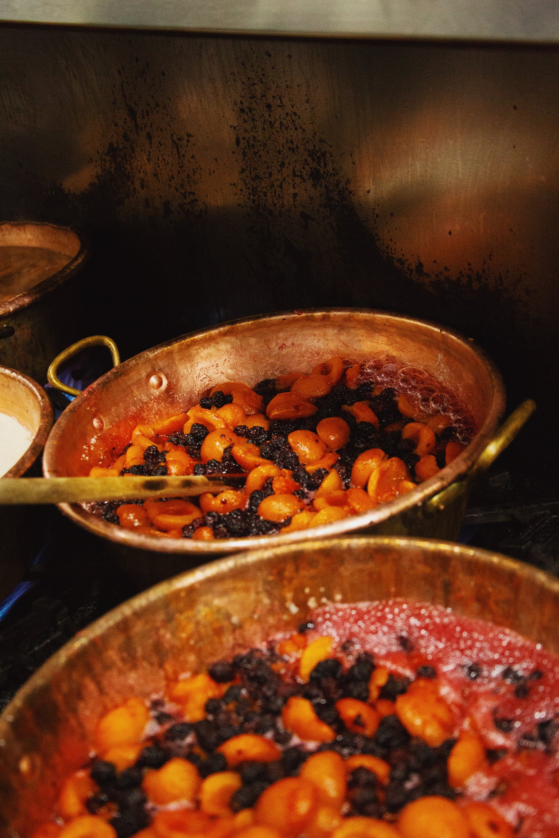 Certified Organic Goldbar Apricot & Pakistan Mulberry