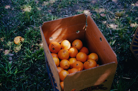 LA Parks Foundation Navel Orange & Rose Petal Marmalade