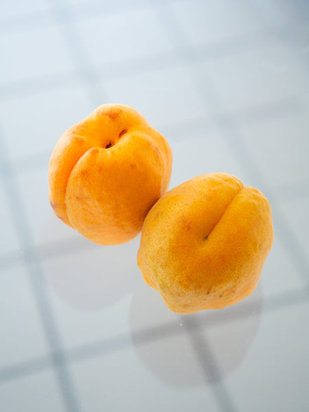 Robada Apricot w. Noyaux