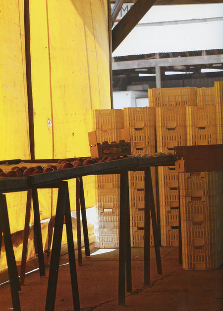 Dutch Apple Blackberry Pie