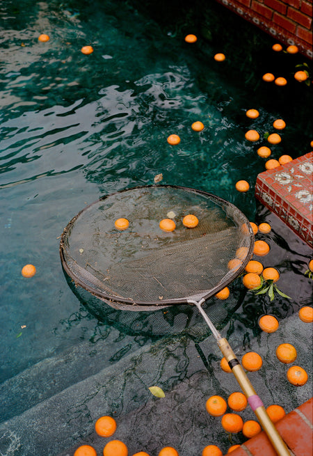 Seville Orange Marmalade